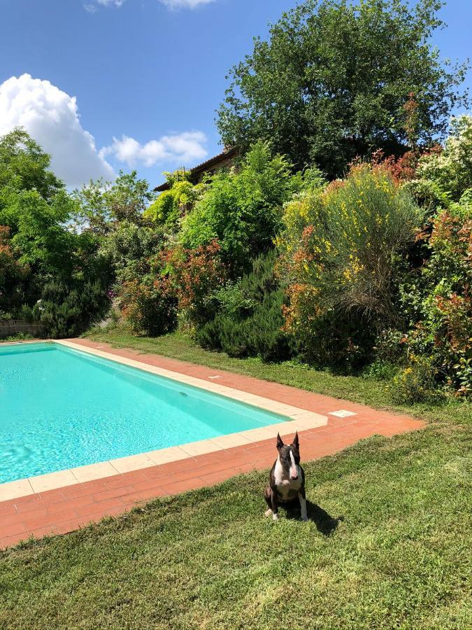 Al Giardino Degli Etruschi ξενώνας Κιούζι Εξωτερικό φωτογραφία