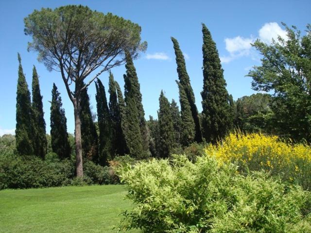 Al Giardino Degli Etruschi ξενώνας Κιούζι Δωμάτιο φωτογραφία