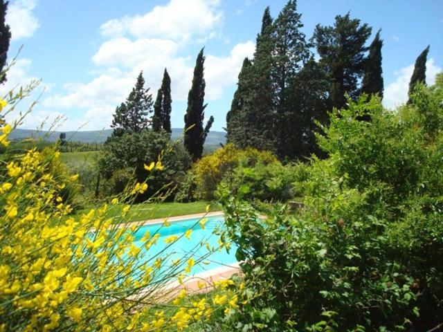 Al Giardino Degli Etruschi ξενώνας Κιούζι Δωμάτιο φωτογραφία